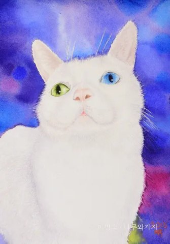 오드아이 모리