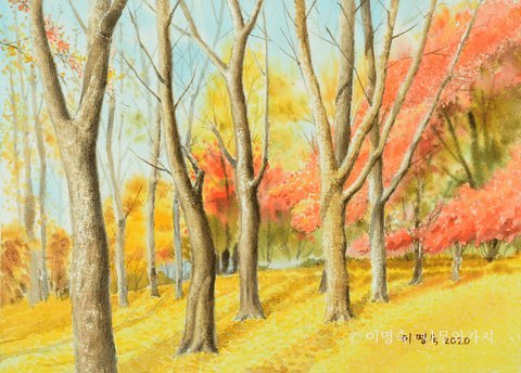 시민의 숲 단풍